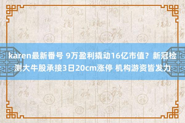karen最新番号 9万盈利撬动16亿市值？新冠检测大牛股承接3日20cm涨停 机构游资皆发力
