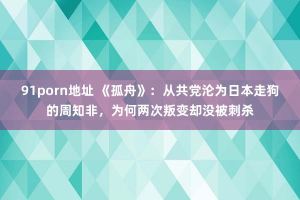 91porn地址 《孤舟》：从共党沦为日本走狗的周知非，为何两次叛变却没被刺杀