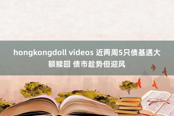 hongkongdoll videos 近两周5只债基遇大额赎回 债市趁势但迎风