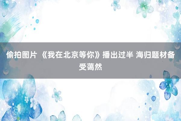 偷拍图片 《我在北京等你》播出过半 海归题材备受蔼然