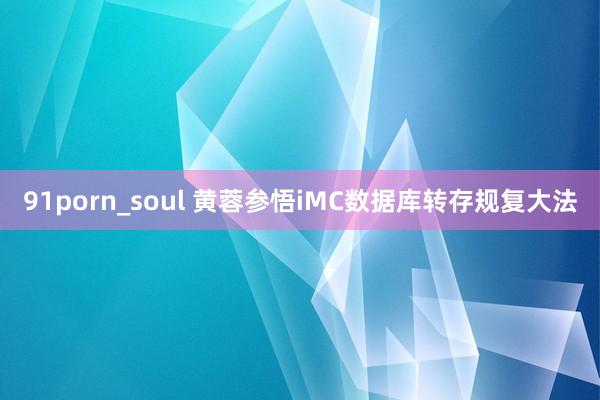 91porn_soul 黄蓉参悟iMC数据库转存规复大法
