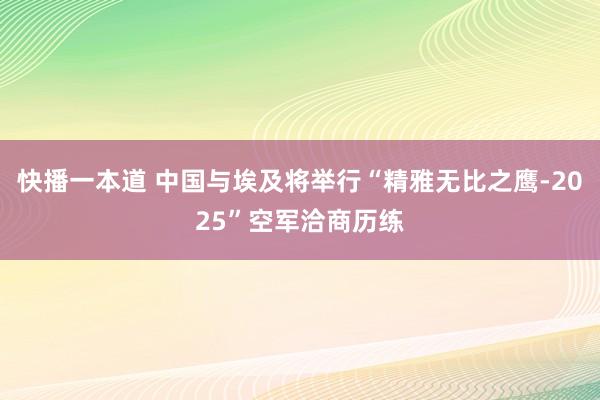 快播一本道 中国与埃及将举行“精雅无比之鹰-2025”空军洽商历练