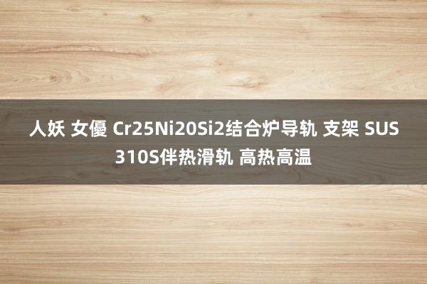 人妖 女優 Cr25Ni20Si2结合炉导轨 支架 SUS310S伴热滑轨 高热高温