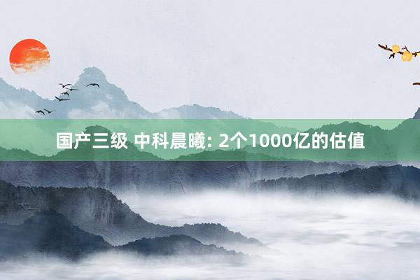 国产三级 中科晨曦: 2个1000亿的估值