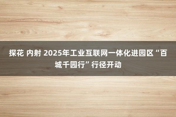 探花 内射 2025年工业互联网一体化进园区“百城千园行”行径开动